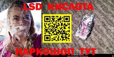 СК Новодвинск