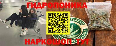 дурь Новозыбков