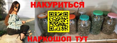 СК Новодвинск