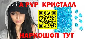 СК Новодвинск