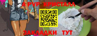 СК Новодвинск