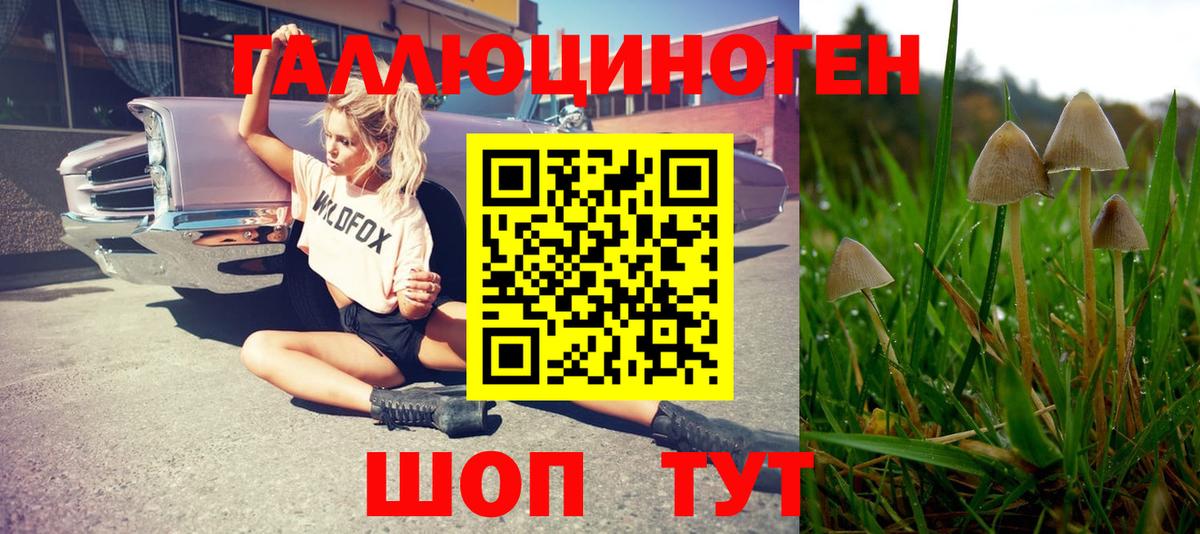 Урюпинск  Галлюциногенные грибы Psilocybe  Галлюциногенные грибы ЛСД  Вход с VPN 